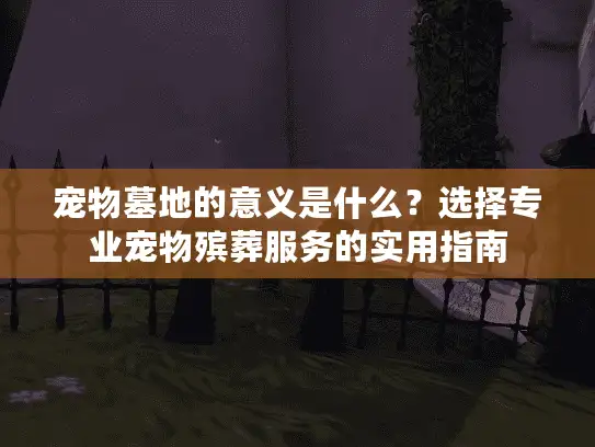 宠物墓地的意义是什么？选择专业宠物殡葬服务的实用指南