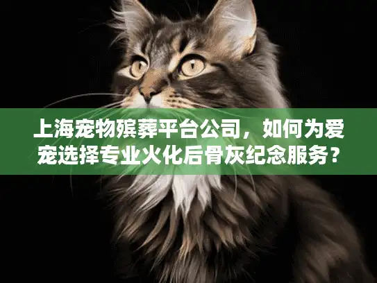 上海宠物殡葬平台公司，如何为爱宠选择专业火化后骨灰纪念服务？
