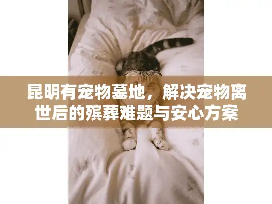 昆明有宠物墓地，解决宠物离世后的殡葬难题与安心方案