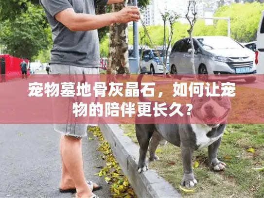 宠物墓地骨灰晶石，如何让宠物的陪伴更长久？