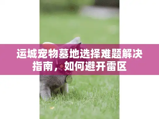 运城宠物墓地选择难题解决指南，如何避开雷区