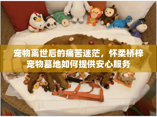 宠物离世后的痛苦迷茫，怀柔桥梓宠物墓地如何提供安心服务