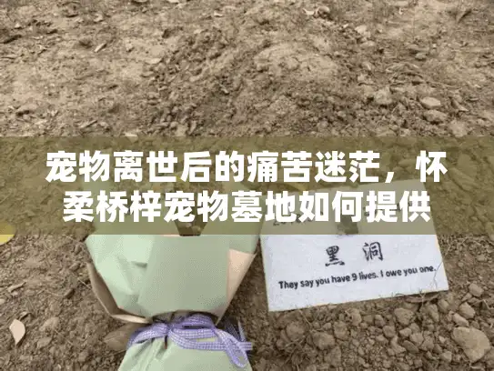 宠物离世后的痛苦迷茫，怀柔桥梓宠物墓地如何提供安心服务