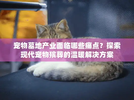宠物墓地产业面临哪些痛点？探索现代宠物殡葬的温暖解决方案