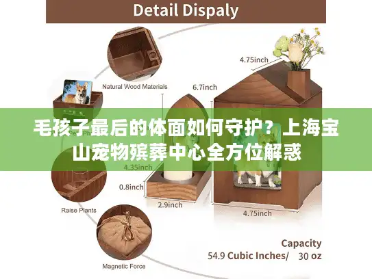 毛孩子最后的体面如何守护？上海宝山宠物殡葬中心全方位解惑