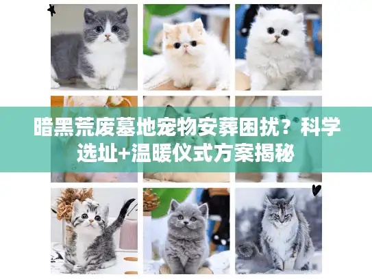 暗黑荒废墓地宠物安葬困扰？科学选址+温暖仪式方案揭秘