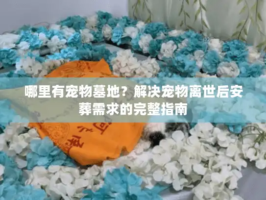 哪里有宠物墓地？解决宠物离世后安葬需求的完整指南