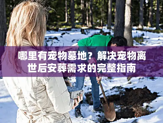 哪里有宠物墓地？解决宠物离世后安葬需求的完整指南