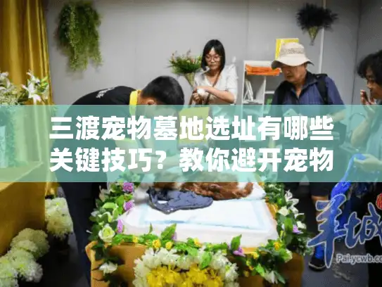三渡宠物墓地选址有哪些关键技巧？教你避开宠物殡葬服务常见坑