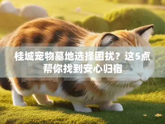 桂城宠物墓地选择困扰？这5点帮你找到安心归宿