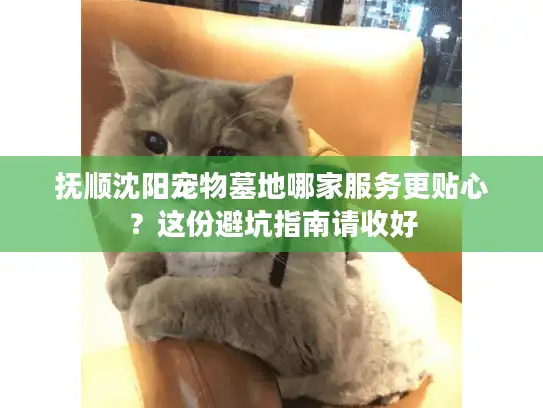 抚顺沈阳宠物墓地哪家服务更贴心？这份避坑指南请收好