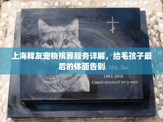 上海释友宠物殡葬服务详解，给毛孩子最后的体面告别