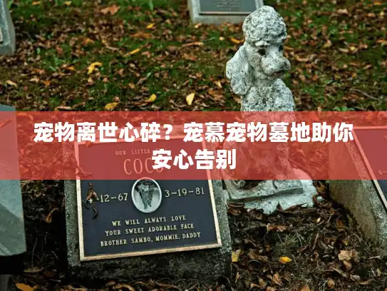 宠物离世心碎？宠慕宠物墓地助你安心告别