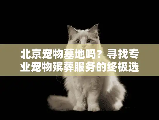 北京宠物墓地吗？寻找专业宠物殡葬服务的终极选择指南