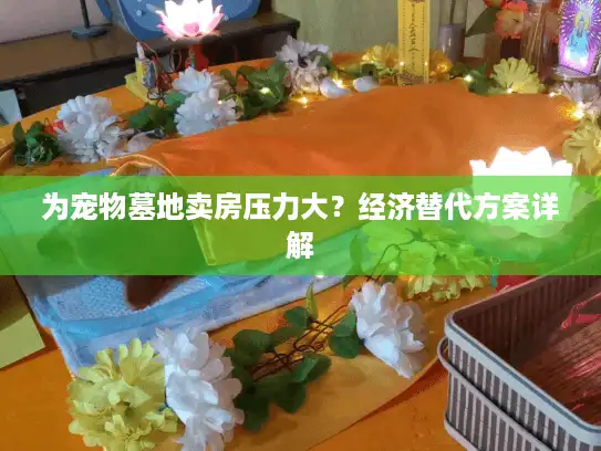 为宠物墓地卖房压力大？经济替代方案详解