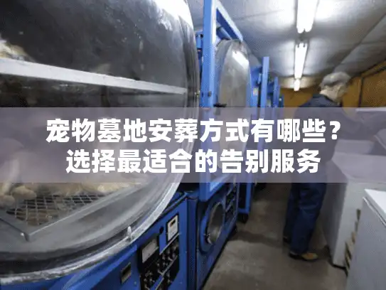 宠物墓地安葬方式有哪些？选择最适合的告别服务