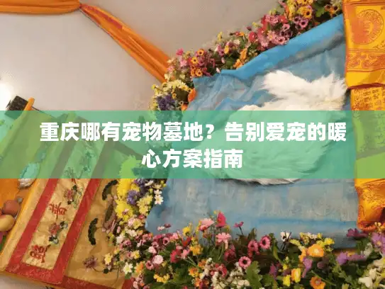重庆哪有宠物墓地？告别爱宠的暖心方案指南