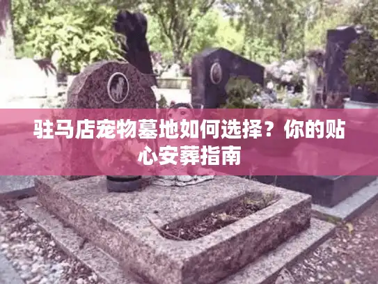 驻马店宠物墓地如何选择？你的贴心安葬指南