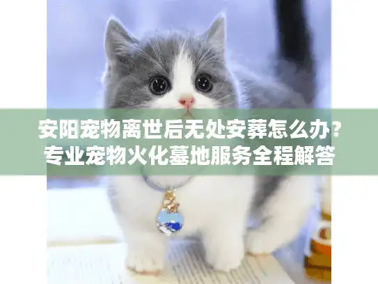 安阳宠物离世后无处安葬怎么办？专业宠物火化墓地服务全程解答