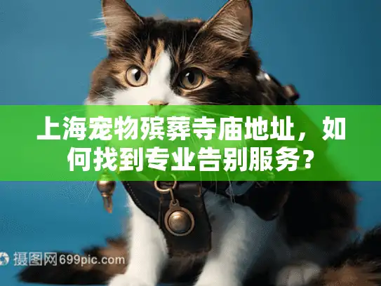 上海宠物殡葬寺庙地址，如何找到专业告别服务？