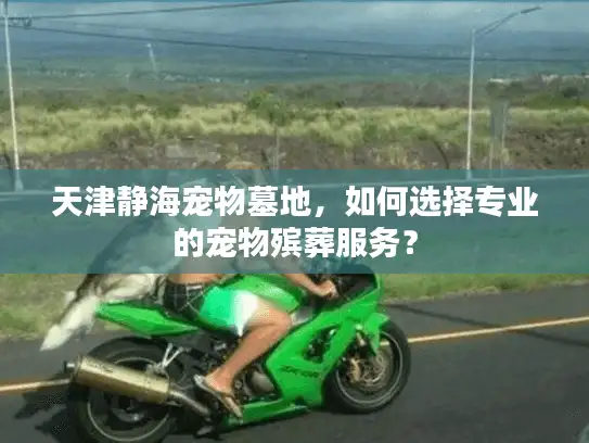天津静海宠物墓地，如何选择专业的宠物殡葬服务？