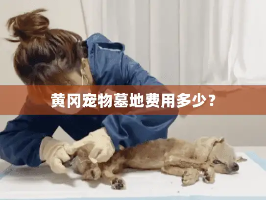 黄冈宠物墓地费用多少？