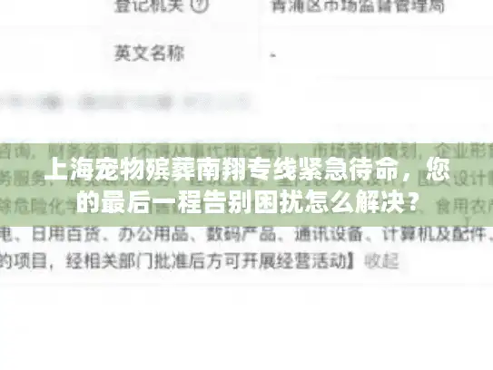 上海宠物殡葬南翔专线紧急待命，您的最后一程告别困扰怎么解决？