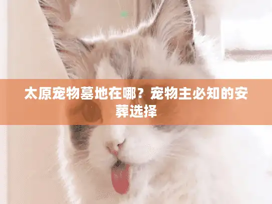 太原宠物墓地在哪？宠物主必知的安葬选择