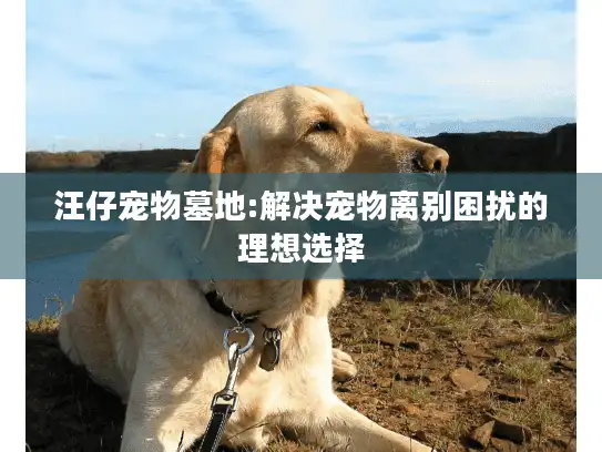 汪仔宠物墓地:解决宠物离别困扰的理想选择
