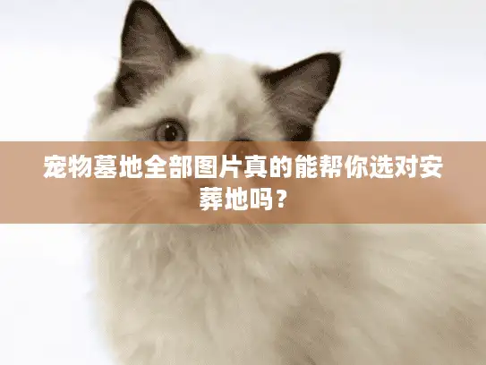 宠物墓地全部图片真的能帮你选对安葬地吗？
