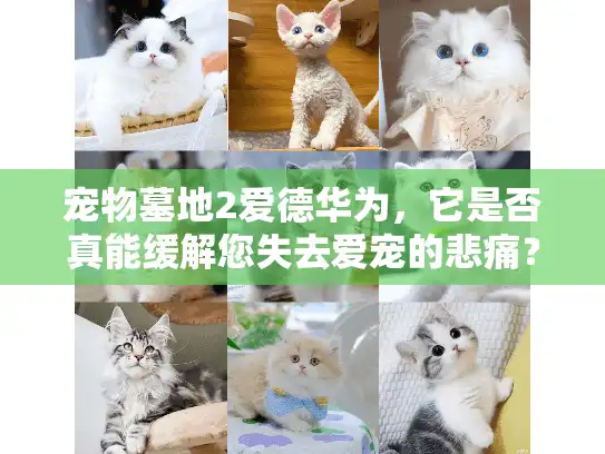 宠物墓地2爱德华为，它是否真能缓解您失去爱宠的悲痛？