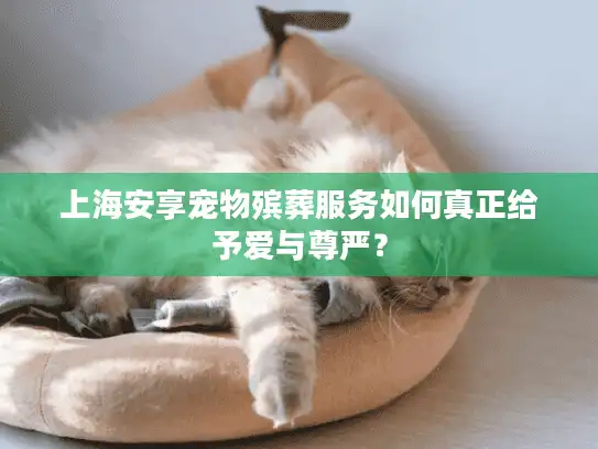 上海安享宠物殡葬服务如何真正给予爱与尊严？