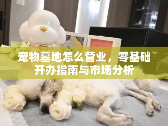 宠物墓地怎么营业，零基础开办指南与市场分析