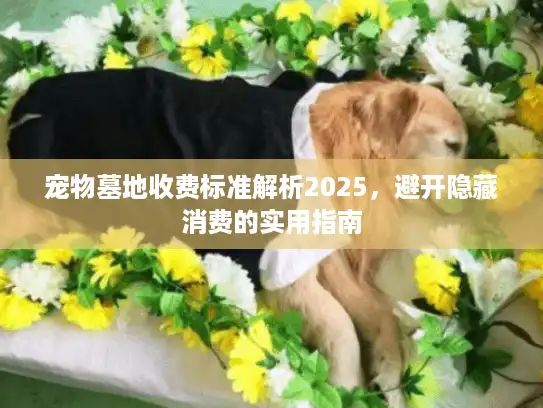 宠物墓地收费标准解析2025，避开隐藏消费的实用指南