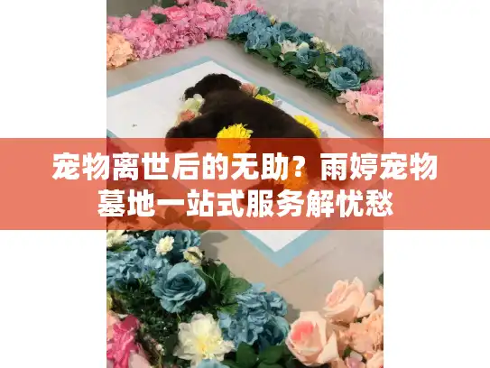 宠物离世后的无助？雨婷宠物墓地一站式服务解忧愁