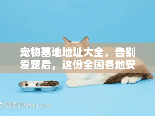 宠物墓地地址大全，告别爱宠后，这份全国各地安葬点汇总能帮到你