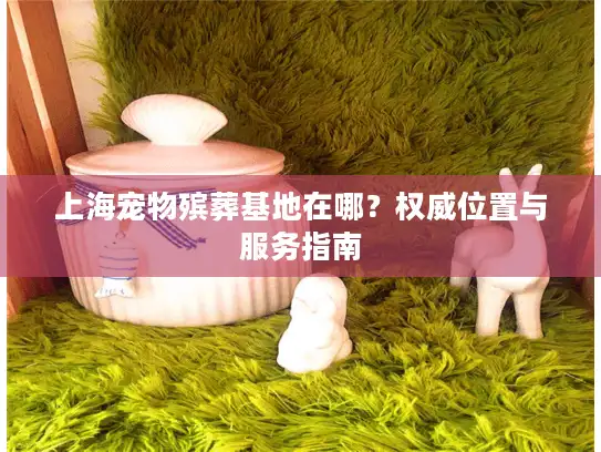 上海宠物殡葬基地在哪？权威位置与服务指南