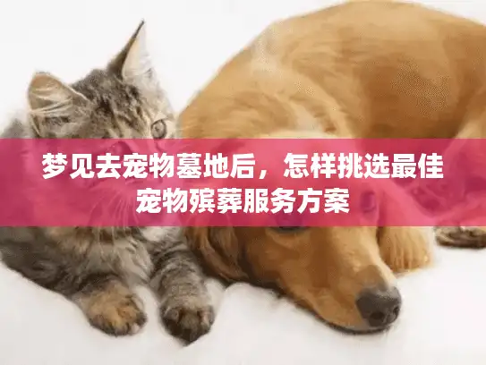 梦见去宠物墓地后，怎样挑选最佳宠物殡葬服务方案