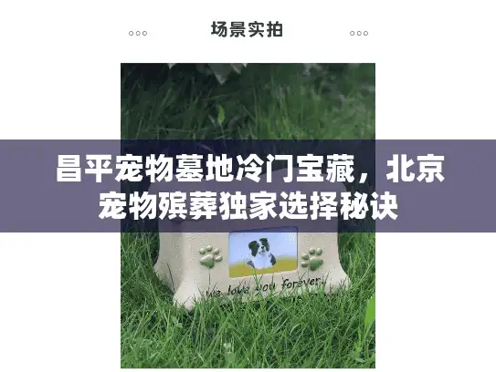 昌平宠物墓地冷门宝藏，北京宠物殡葬独家选择秘诀