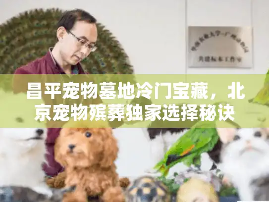 昌平宠物墓地冷门宝藏，北京宠物殡葬独家选择秘诀
