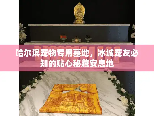 哈尔滨宠物专用墓地，冰城宠友必知的贴心秘藏安息地