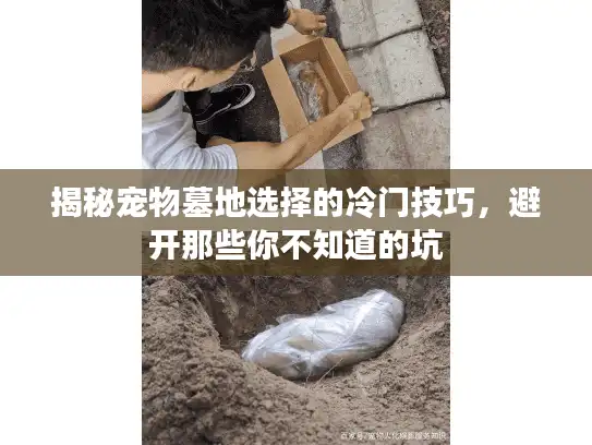 揭秘宠物墓地选择的冷门技巧，避开那些你不知道的坑