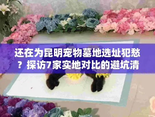 还在为昆明宠物墓地选址犯愁？探访7家实地对比的避坑清单