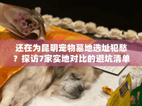 还在为昆明宠物墓地选址犯愁？探访7家实地对比的避坑清单