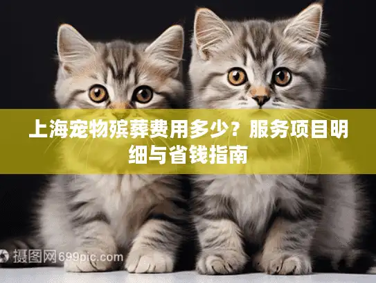 上海宠物殡葬费用多少？服务项目明细与省钱指南