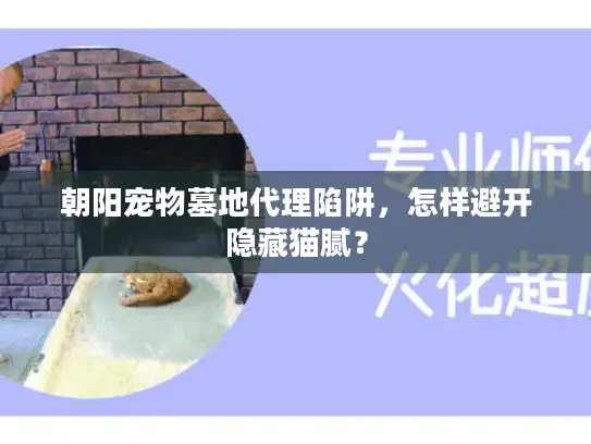 朝阳宠物墓地代理陷阱，怎样避开隐藏猫腻？