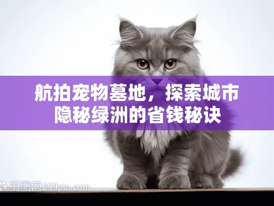 航拍宠物墓地，探索城市隐秘绿洲的省钱秘诀