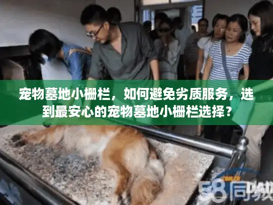 宠物墓地小栅栏，如何避免劣质服务，选到最安心的宠物墓地小栅栏选择？