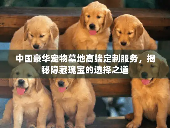 中国豪华宠物墓地高端定制服务，揭秘隐藏瑰宝的选择之道
