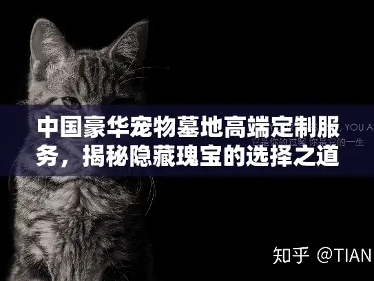 中国豪华宠物墓地高端定制服务，揭秘隐藏瑰宝的选择之道